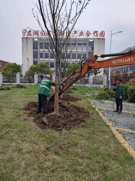 綠化工程