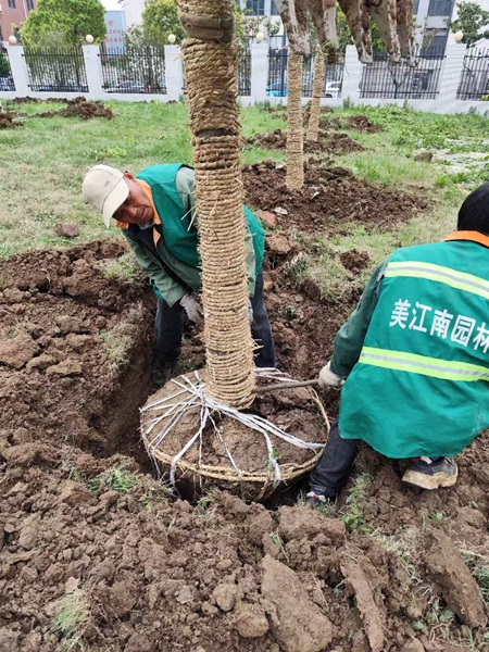 綠化工程